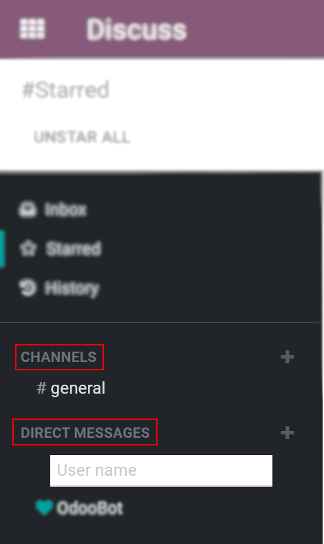 View of discuss's panel emphasizing the titles channels and direct messages in Odoo Discuss